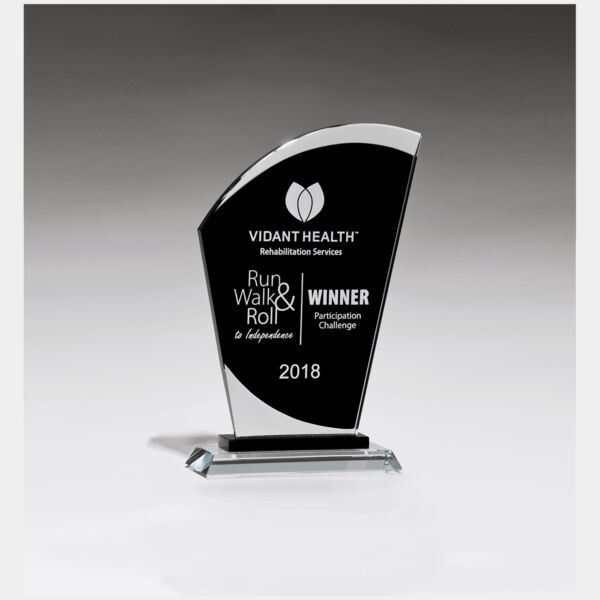 6" x 9 1/2" Sail Shaped Glass Award with Center Thumbnail