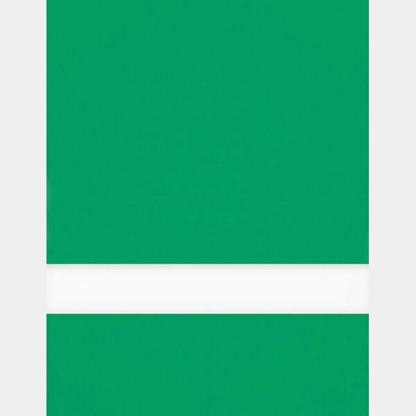 Undersize 1/16" Spring / Matte Duets Laser XT Plastic Thumbnail