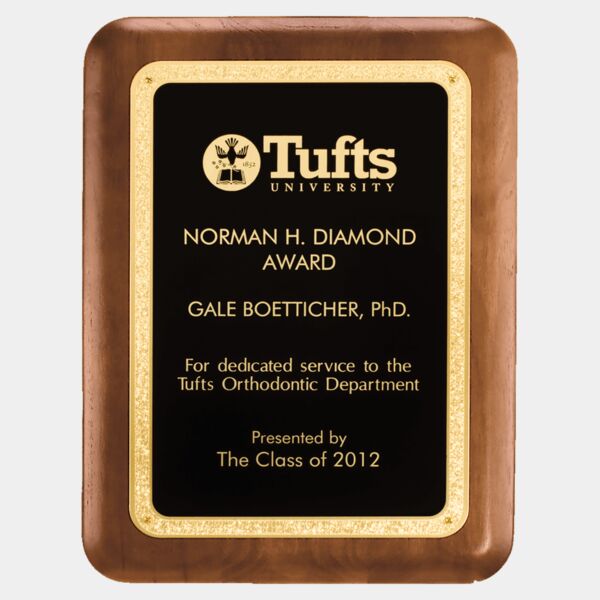 8" x 10 1/2" American Plaque with Textured LaserFX Plate with Florentine Border Thumbnail