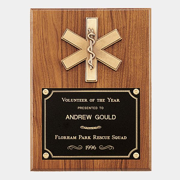 9" x 12" Plaque with EMT Star of Life and Brass Plate Thumbnail