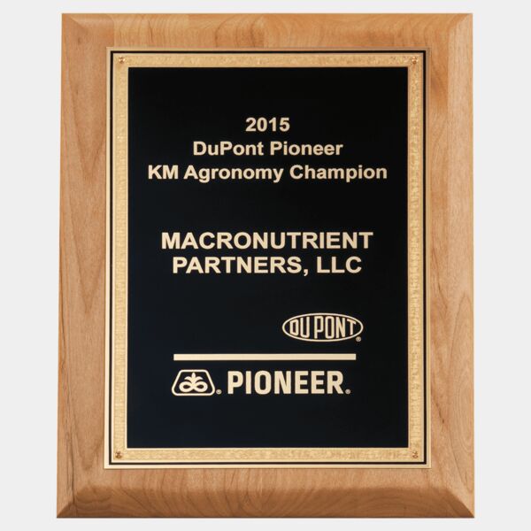 9" x 12" Natural Wood Plaque with Textured, Florentine Bordered LaserFX Plate Thumbnail