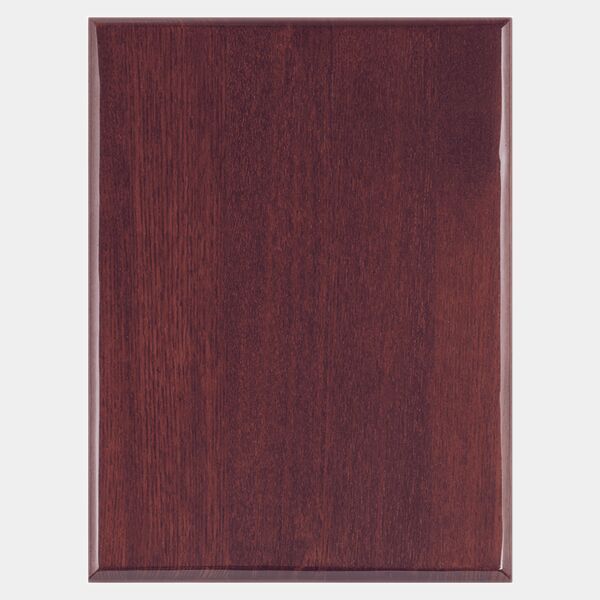 22" x 30" Airflyte Premium Piano Finish Plaque with Round Corners Thumbnail