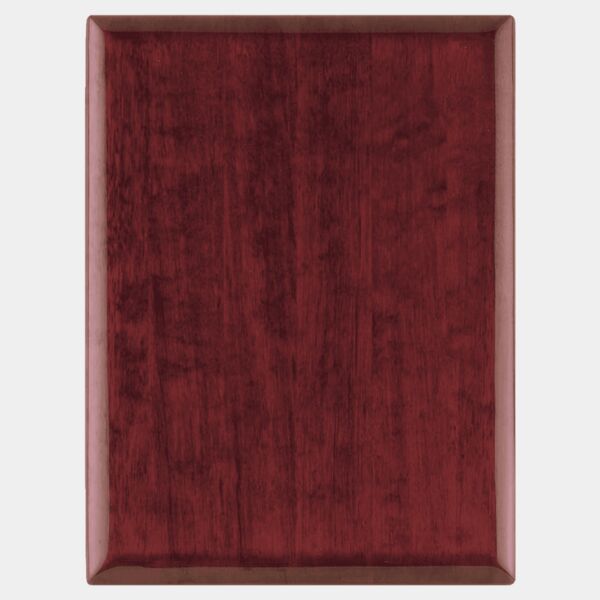 14" x 20" Airflyte Piano Finish Plaque Thumbnail